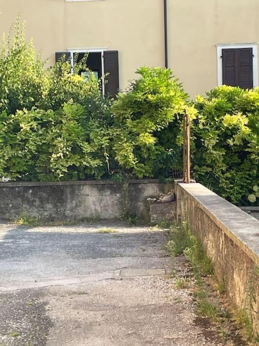 The Lime Tree Cozy Flat Appartement Riva del Garda Buitenkant foto